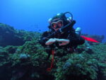 Underwater researchers explore 12-Mile Bank