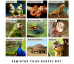 Deadline looms for exotic-pet registrations