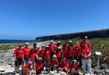 UK MPs bat for overseas territories facing Girlguiding chopping board