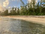Multi-million-dollar plan to buy back the beach