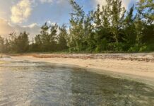 Multi-million-dollar plan to buy back the beach