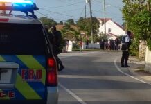 Recovery of gun used in killing could reduce sentence