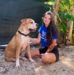 Abandoned dog finally finds home after nearly 4 years in shelter