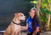 Abandoned dog finally finds home after nearly 4 years in shelter