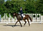Heaney-Henderson earns high point at Cayman latest dressage show