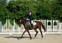 Heaney-Henderson earns high point at Cayman latest dressage show