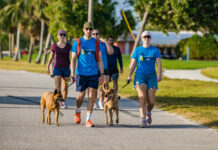 Lace up for paws at the Humane Society’s Walk and Wag