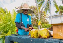 No Coco Fest in 2026