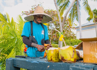 No Coco Fest in 2026