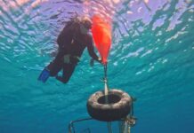 Dive community clears underwater storm debris
