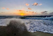 Report: Extensive beach nourishment needed to save Seven Mile