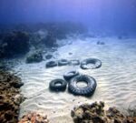 Divers wanted for post-storm reef clean-up at Eden Rock