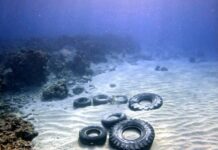 Divers wanted for post-storm reef clean-up at Eden Rock