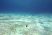 Nor’wester strips near-shore seabed bare