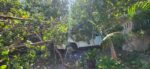 ‘Miraculous’ escape as uprooted trees land on family’s cars and home