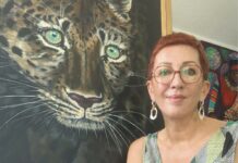 Celebrating 50 years in art