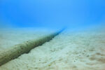 Cayman to seek bids for new subsea cable