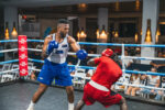 Fight fans treated to classic night of boxing