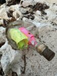 Messages in bottle found on morning walk