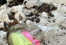 Messages in bottle found on morning walk