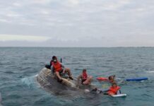 Tourists feared being eaten by sharks when boat sank off West Bay