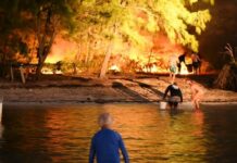 Barefoot tourists leapt off tour boat to extinguish brush fire Fire at Starfish Point, Tuesday March 5 2024. Credit: Captain Marvin's Watersports