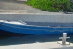 Birds smuggled on alleged drug boat remain in ‘secure quarantine’