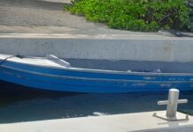 Birds smuggled on alleged drug boat remain in ‘secure quarantine’