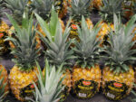 Cayman-registered Del Monte says it’s not liable for Kenyan plantation violence