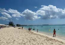 Tourism thrives as stayover visitors near pre-pandemic highs