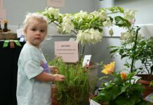 Garden Club’s Flower Show shines light on environment