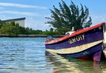 Disorganised crime: Chancers, freelancers and opportunists gambling on the Jamaica ganja run