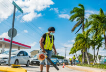Winter NiCE work programme to begin next month