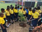 Prospect Primary students go green for Earth Day