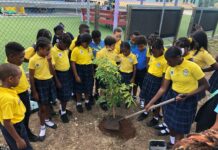 Prospect Primary students go green for Earth Day