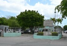 Asbestos discovery confirmed at CIFEC Operations at the Cayman Islands Further Education Centre continue as normal even after the discovery of asbestos. - Photo: Reshma Ragoonath