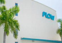 More telecoms firms sue government over fees Flow