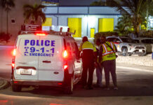 Murder suspect says he struck victim with car in self-defence