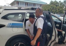 Man jailed for Wilbur animal cruelty case
