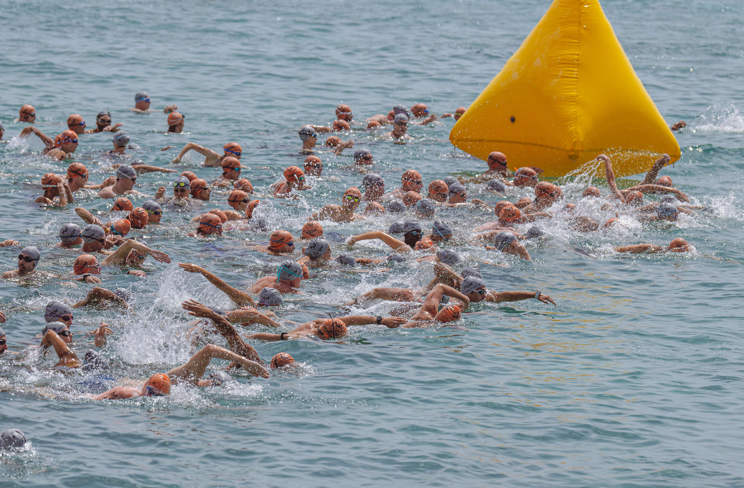 Flowers Sea Swim 2024-28 - Cayman Compass