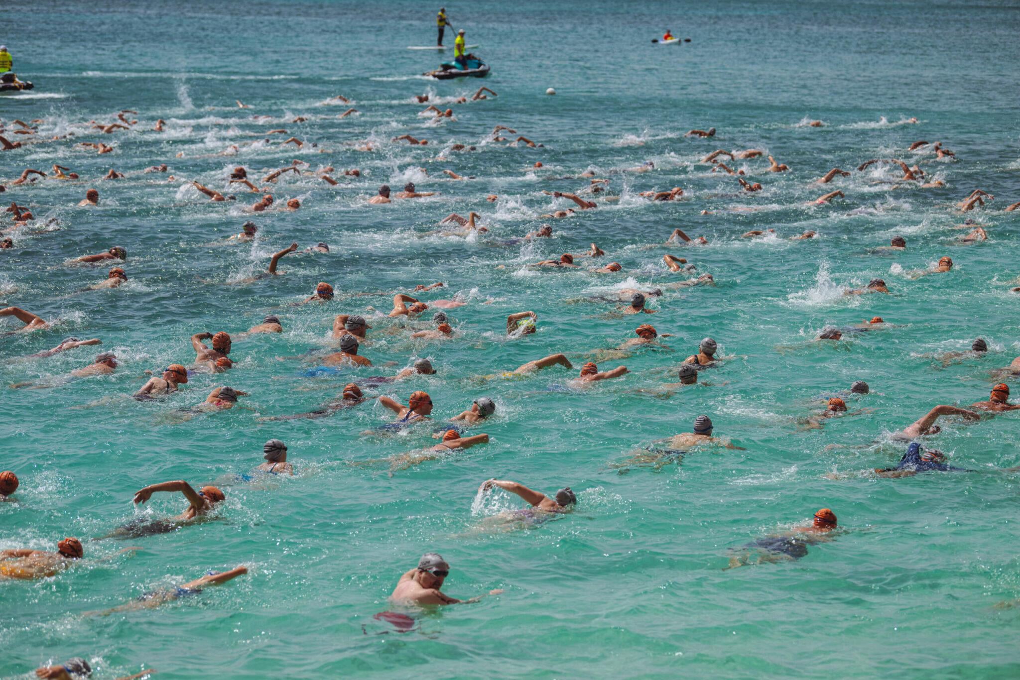 Flowers Sea Swim 202430 Cayman Compass