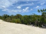 Road through blue iguana habitat ignites civil war over planning approvals The road constructed through blue iguana habitat in East End. - Photo: Supplied
