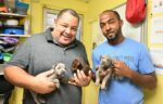 Trash collectors save puppies dumped in garbage
