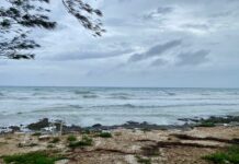 Overnight arrival of tropical wave expected