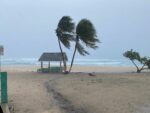 Battered but not beaten, Cayman survives brush with Hurricane Beryl Trees are wind-tossed but still standing off West Bay Beach during the passage of Hurricane Beryl. - Photo: Taneos Ramsay
