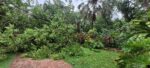 Botanic Park closed due to hurricane damage