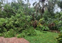 Botanic Park closed due to hurricane damage
