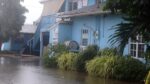Humane Society praises ‘heroic efforts’