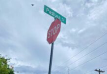 One dead, one injured in Shamrock Road collision