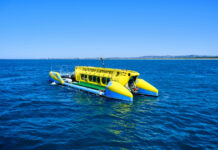 Yellow submarine does not have required safety certificate